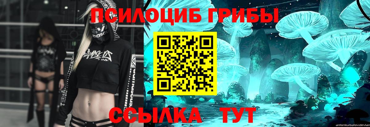 Кизляр  наркотики  Вход с VPN  Псилоцибиновые грибы прущие грибы 