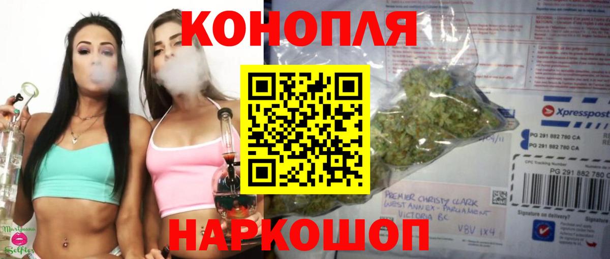 Канабис конопля Кизляр